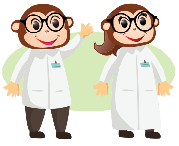 Cheeky Monkeys Playland Learn Cheeky Monkeys Learn Category Image